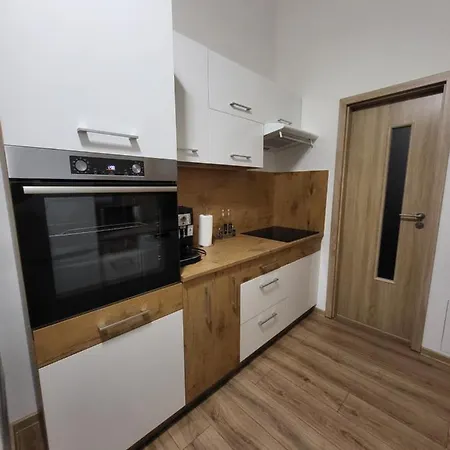 Apartment Viki