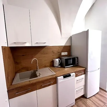 Apartment Viki *