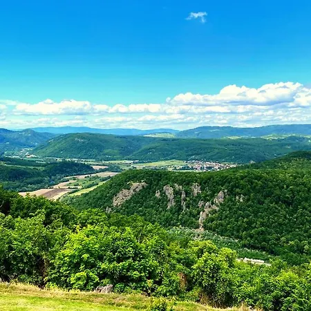 Viki Bańska Bystrzyca